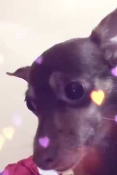 :3