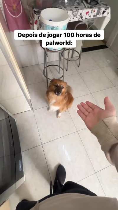 HAYASHII transformar&aacute; Clhoe em PAL?