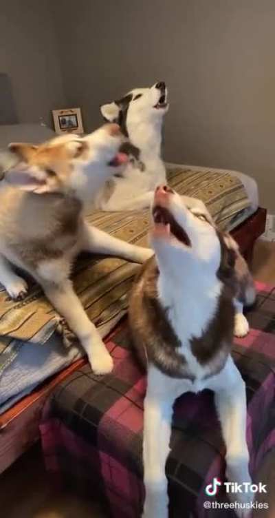 Triple Tantrum