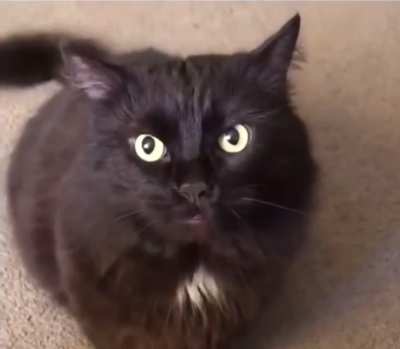 Attack eyes engaged