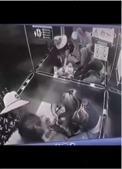 Dog is bitten by another dog in elevator, then the owner of the affected dog kicks the aggressor.