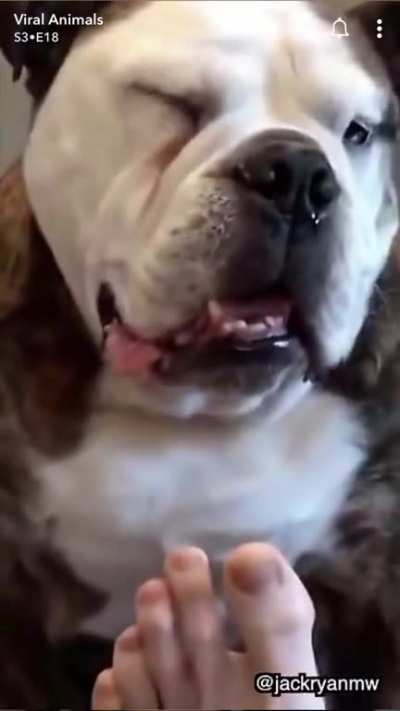Nom