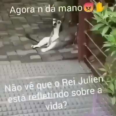 Oq ser&aacute; que ele est&aacute; pensando?🤔