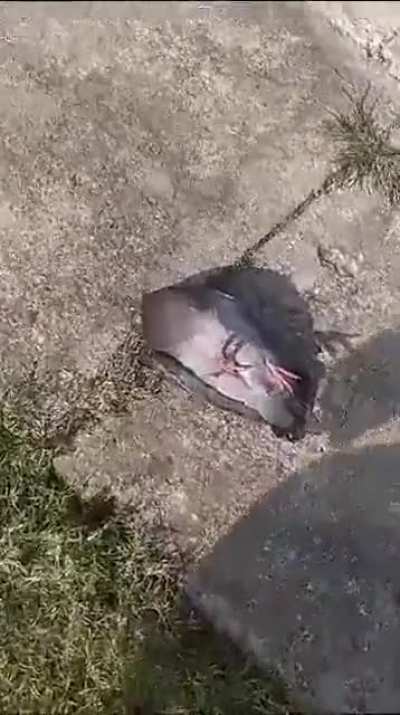 dude are you okay?