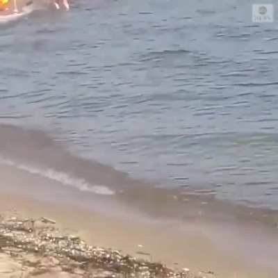 Beaches in germany are oh so boaring