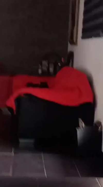 He just attacked