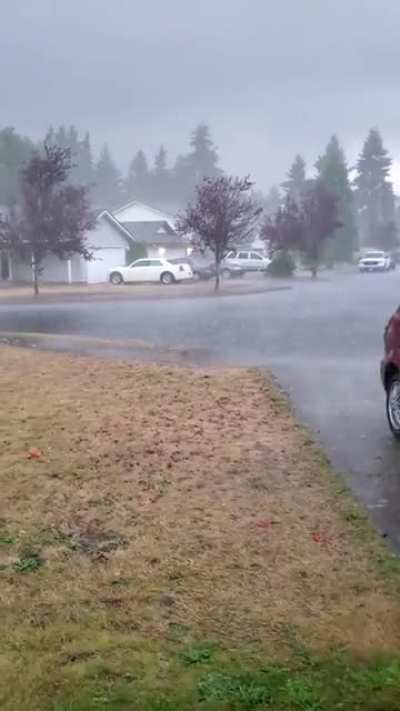 After almost a month without rain, and the Oregon wildfires just south of us, this is a welcome sight (Longview, WA)
