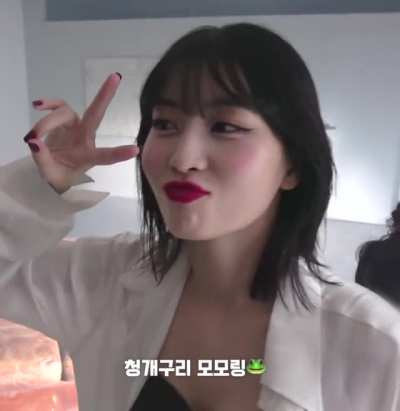 Momo