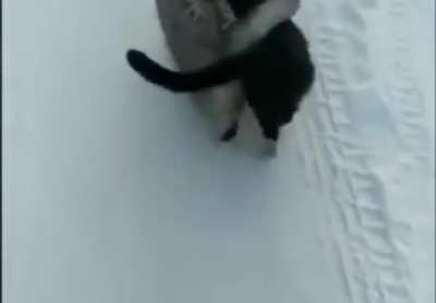 Tricked_irl