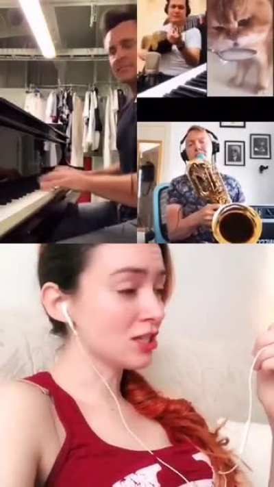 Fun Cat Song