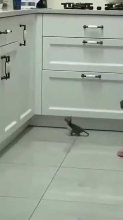 The perfect jump doesn't exi...