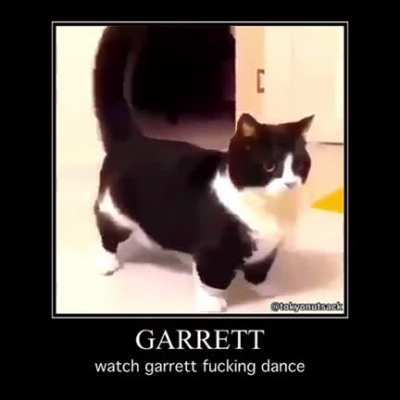 Garrule