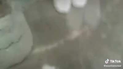 Sisas