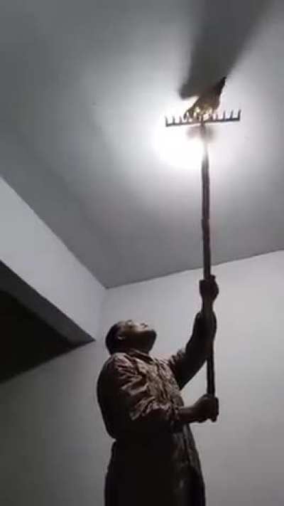 Raid? para qué?