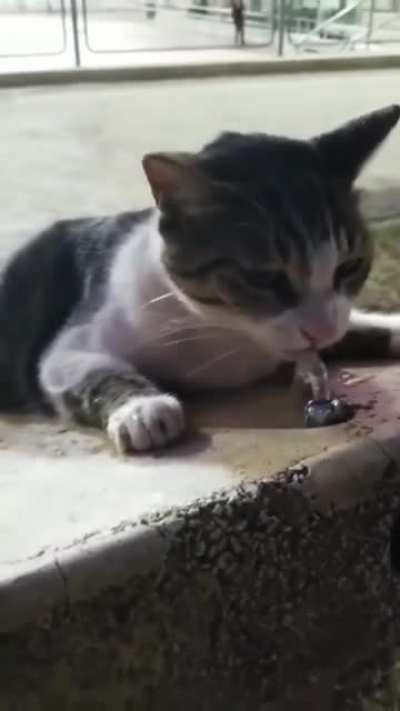Human, can you lend me a hand?