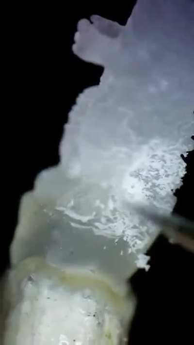Russian jeweler carves Godzilla from a single grain of rice