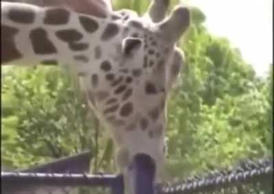 hmm