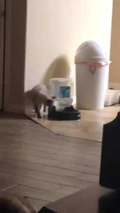 she does this because she likes to watch the water move