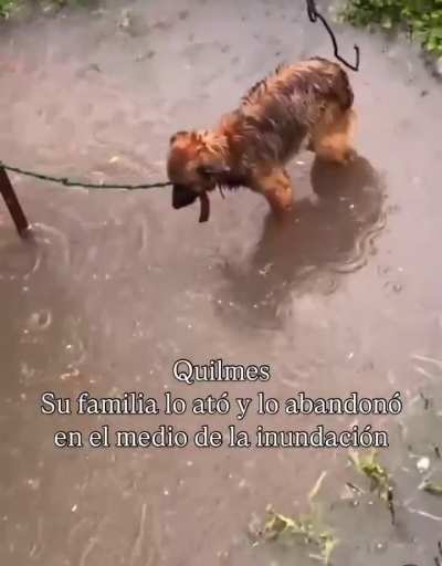 En quilmes encontraron un perro que había sido atado y dejado en el medio de la lluvia 
Ni alma tienen! Como se puede ser tan hdp?
Obviamente lo rescataron