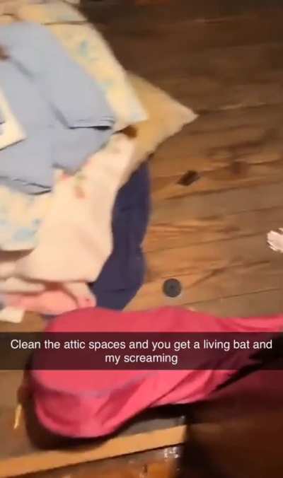 Sister-in-law finds a bat