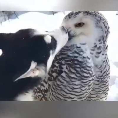 "Gimme a kiss please"