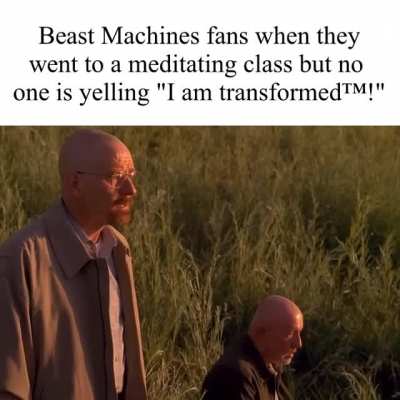 Transformers fans slander