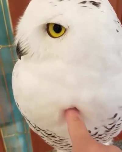 Super fluffy