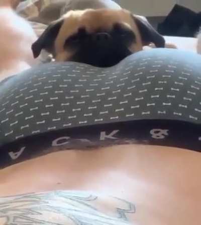 So comfy&hellip;. wait what??