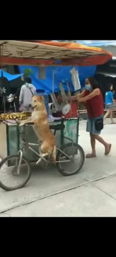 Let me drive Boss, just push!