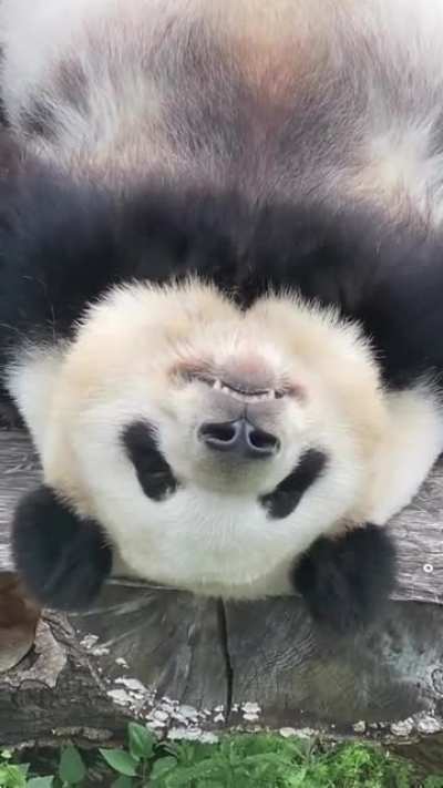 Comfy