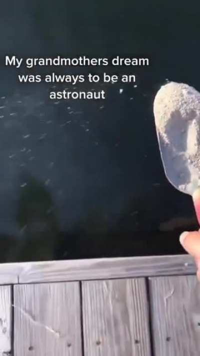 Just another satire post that belongs here