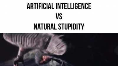 A battle for the ages