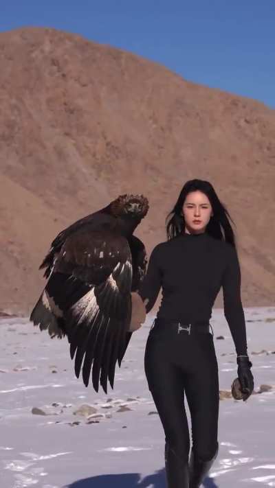 of a Golden Eagle