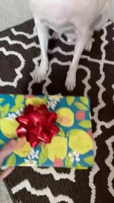 He didn't see that coming