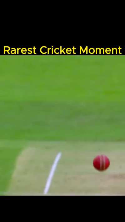 Why is Raina pulling thala's hair like that?