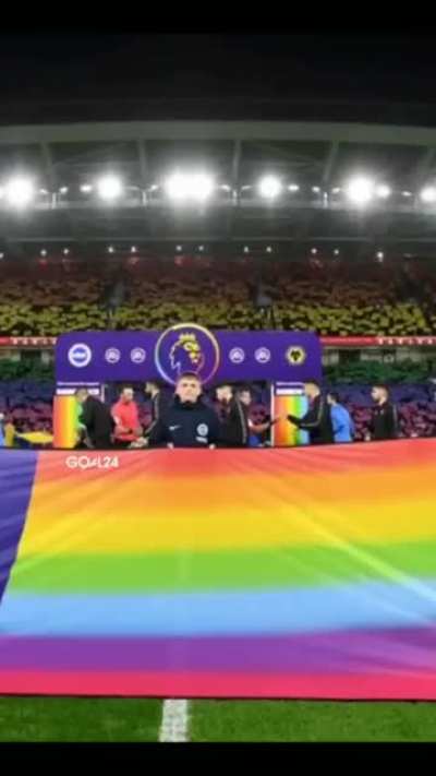 🏳️‍🌈 ❌ || 🏴‍☠️ ✅