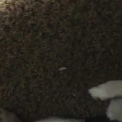 It&rsquo;s actually scarier to NOT find him under my bed...