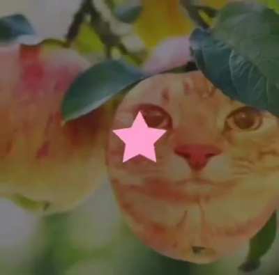 &amp;gt;:(