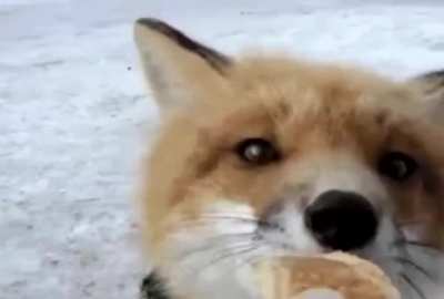 monch_irl