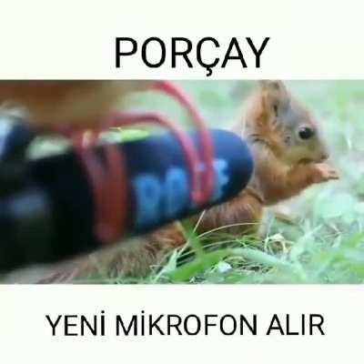 Mantar &ccedil;orbasıyla &ccedil;ekilen videolardan nereye ah ahh