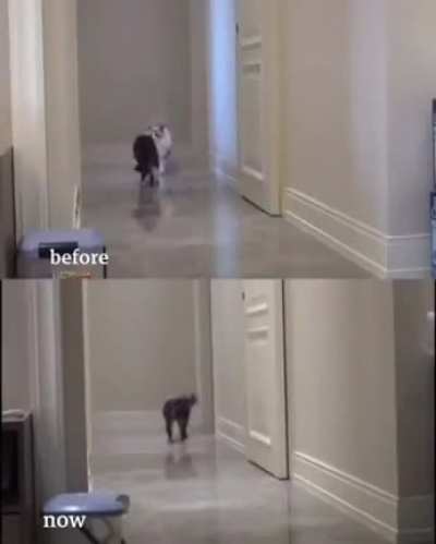 Why are we still here? Just to suffer?