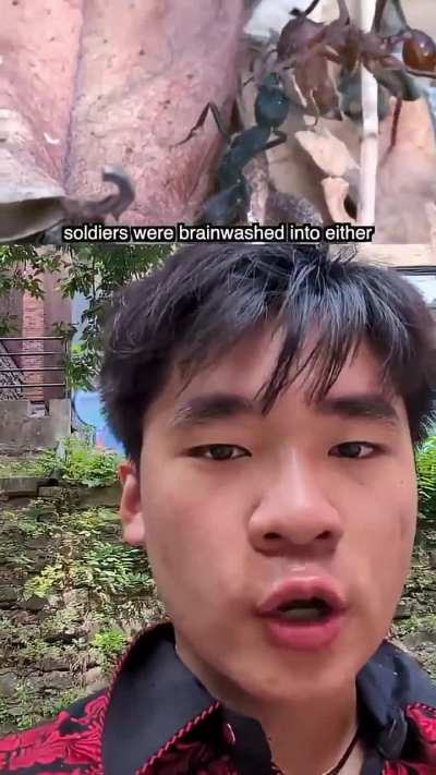 Ant Brainwashing