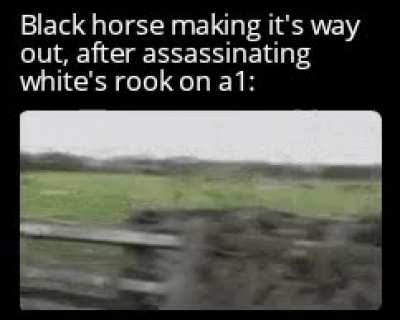 Mission accomplished 👍🏼 🐴