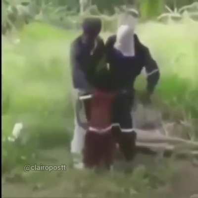 No gore gang