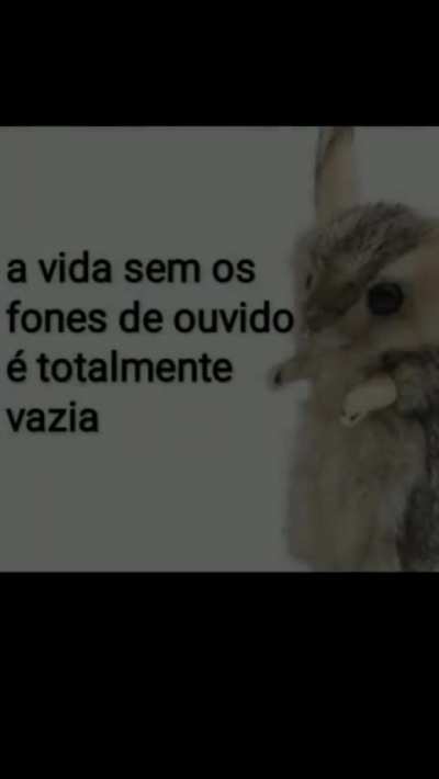 eu_nvr