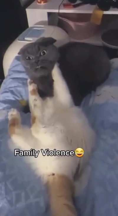 Family showdown 🫣😬👉