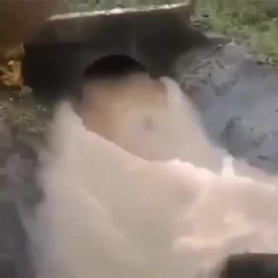 tobogã