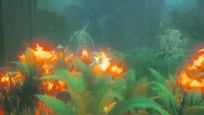Link go boom