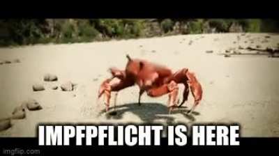 Es is endli soweit!