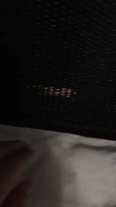 The Munster under the bed